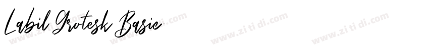 Labil Grotesk Basic字体转换